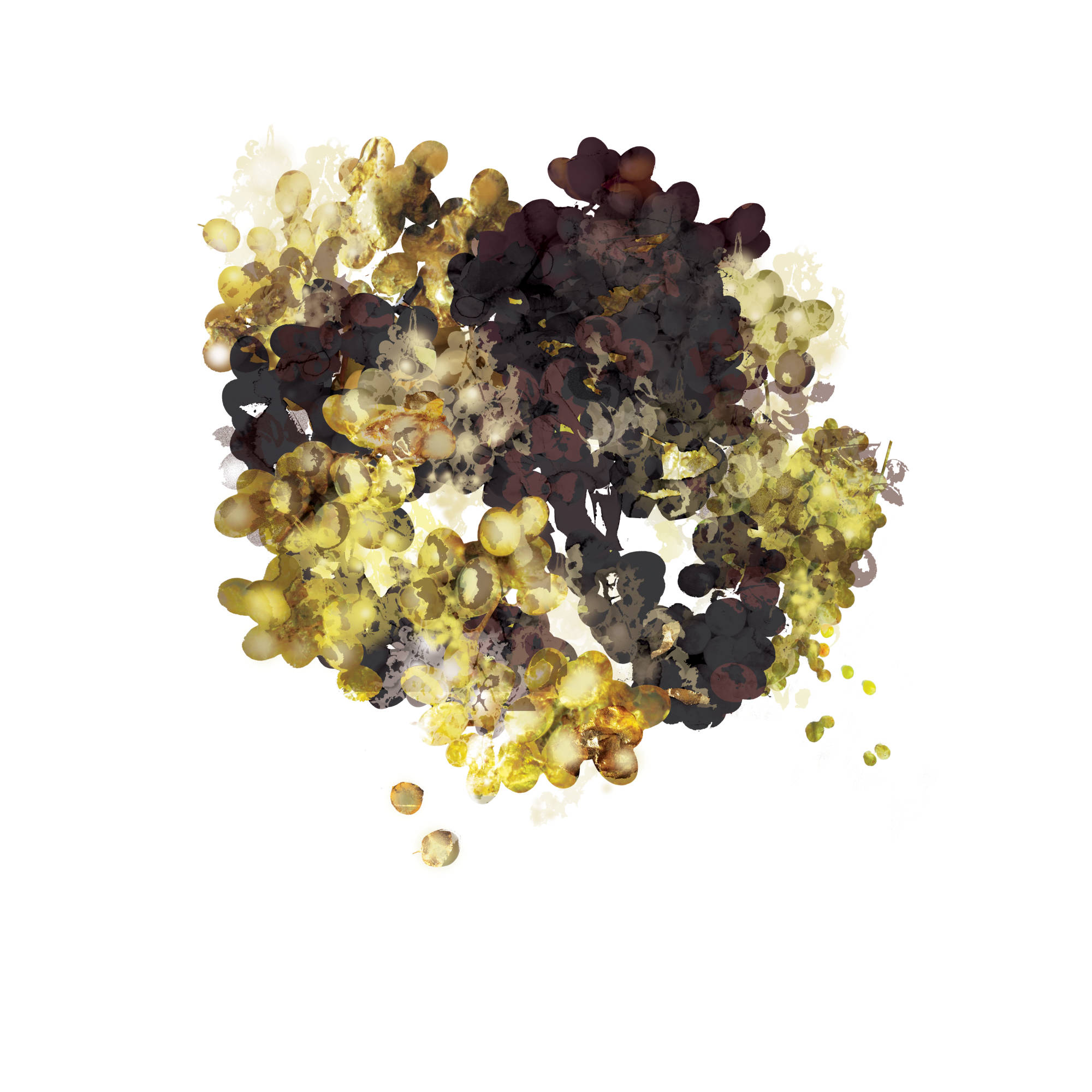 Golden Black Season