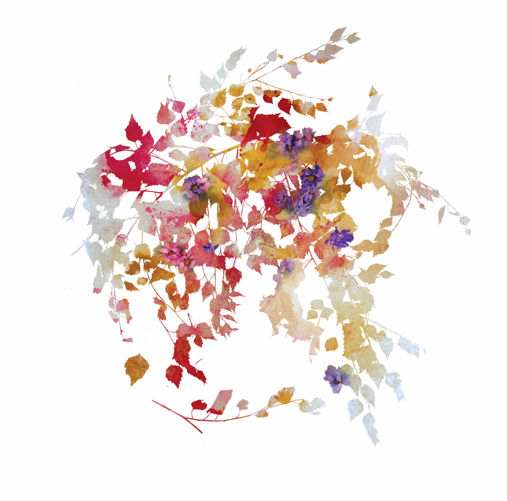 Blooming Season