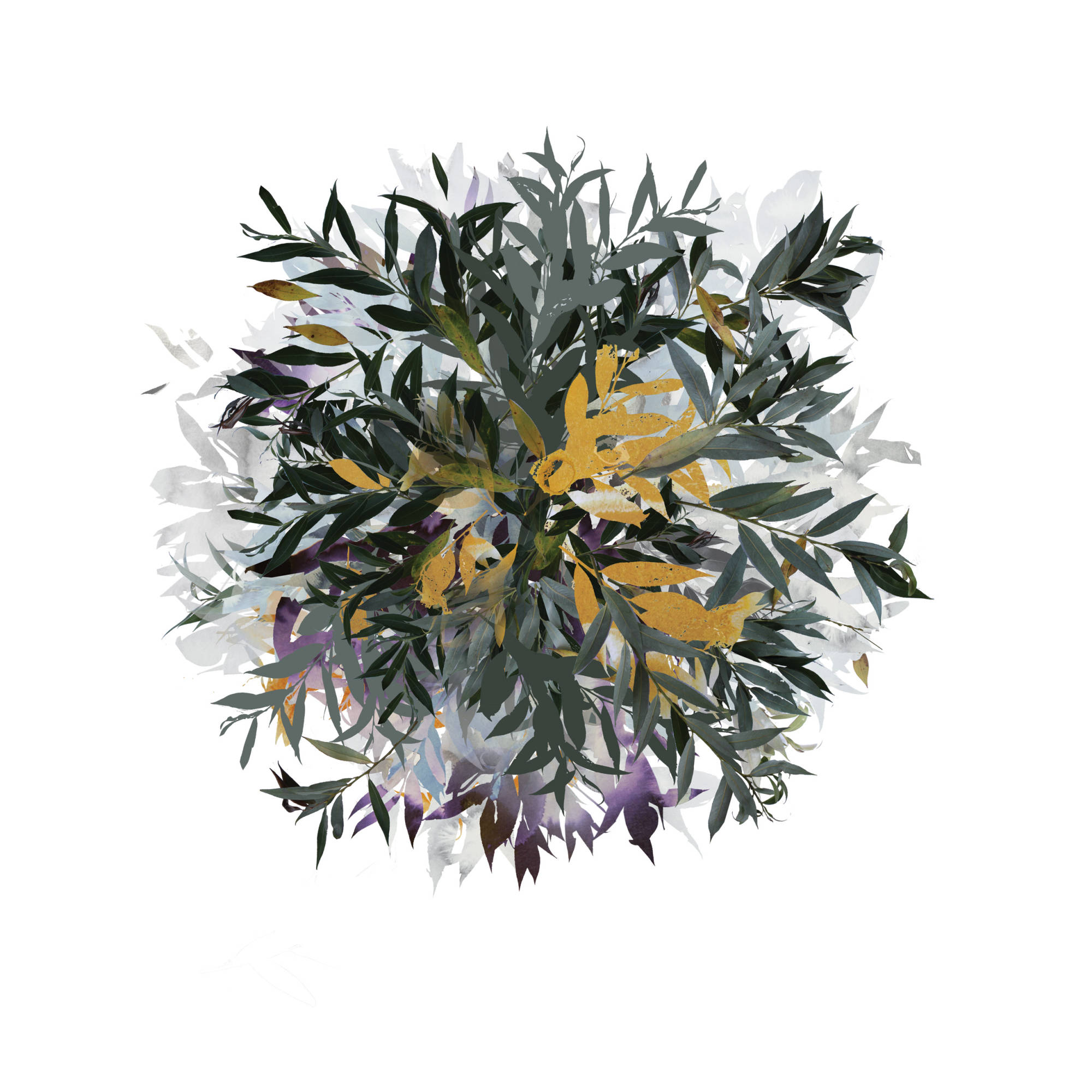 Seasonial Leaves